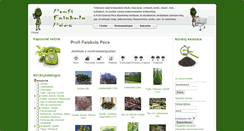Desktop Screenshot of profifaiskola.com