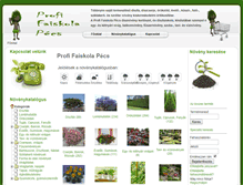 Tablet Screenshot of profifaiskola.com